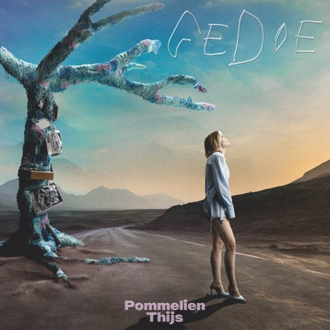 Pommelien Thijs: Gedoe