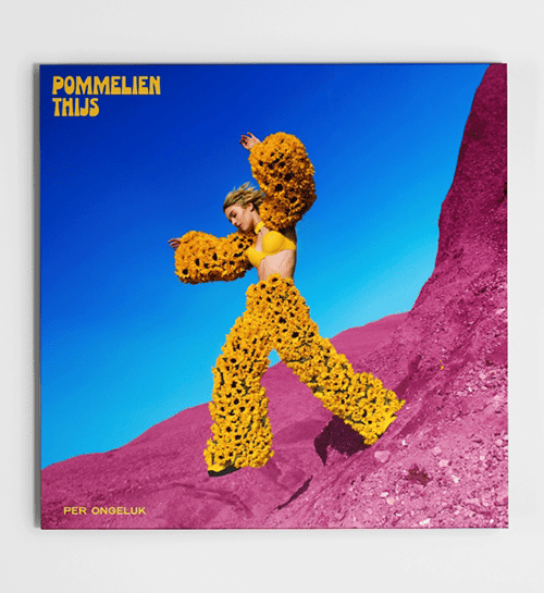Pommelien Thijs: Per Ongeluk